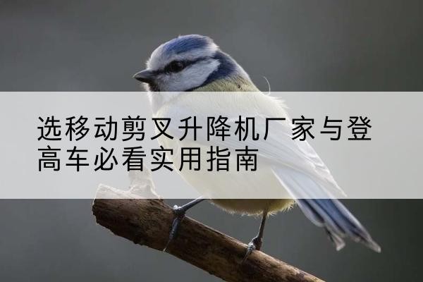 惠山电动升降机厂家-选移动剪叉升降机厂家与登高车必看实用指南
