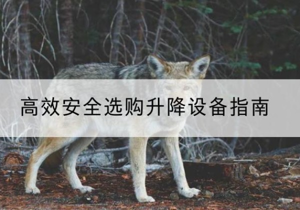 惠山升降货梯厂家推荐-*安全选购升降设备指南